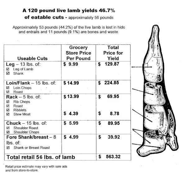 Lamb chart