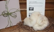 "Hand Carding" Package
