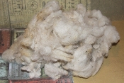Well Skirted & Washed~Shropshire Fleece/per 4 oz.